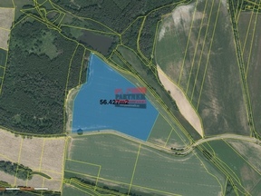 Prodej souboru pozemků - k.ú. Řevnov