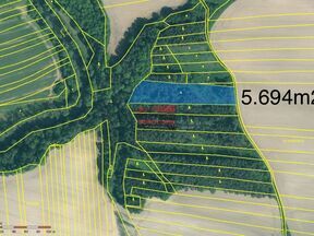 Prodej souboru lesních pozemků o celkové výměře 10.406m2